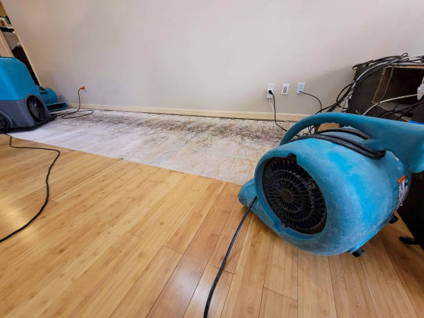 Professional Burst Pipe Water Damage technician working in Greenfield, NH